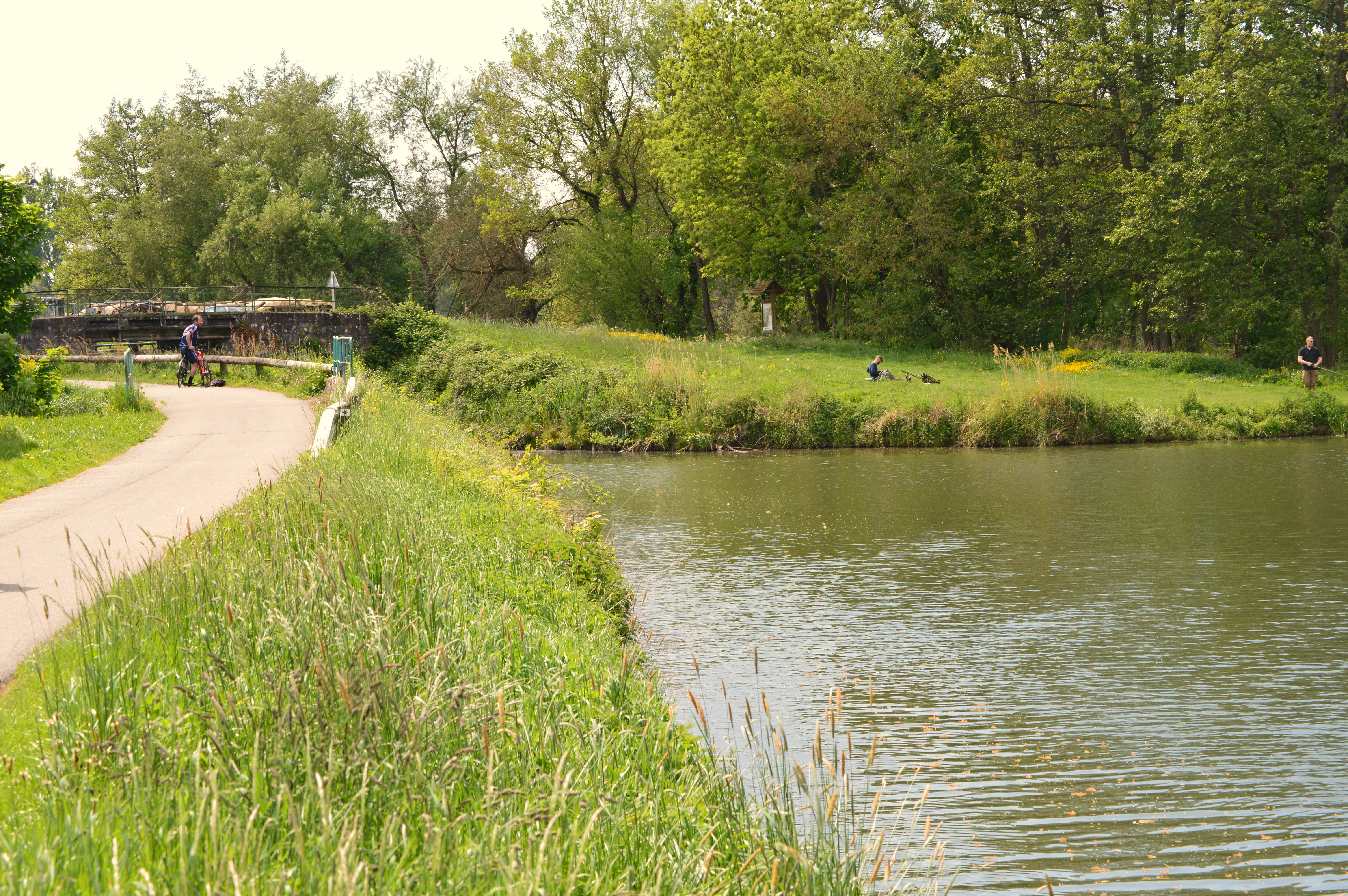 Canal du Rhone au Rhin